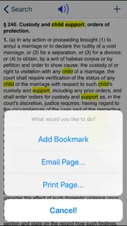 ny domestic relations law 2023 iphone images 4