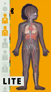 the human body lite iphone images 1