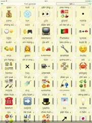 word match - mandarin Çincesi ipad resimleri 1