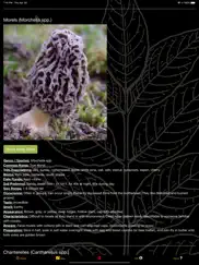 indiana mushroom forager map! ipad images 4
