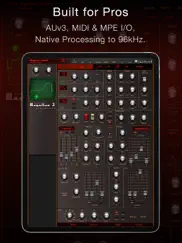 magellan synthesizer 2 iPad Captures Décran 2
