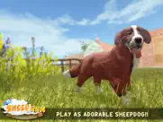 silly sheep run- farm dog game ipad images 1