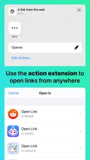 opener ‒ open links in apps iphone images 2