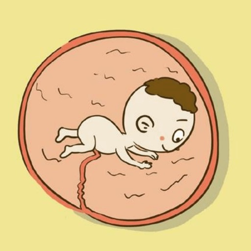 Fetal Movement Counter app reviews download