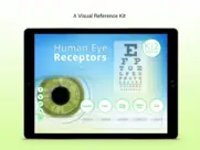 human eye receptors ipad images 1