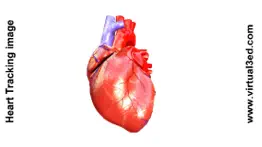 ar human heart – a glimpse iphone images 2
