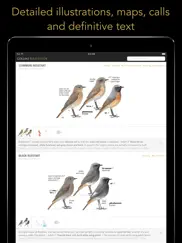 collins british bird guide iPad Captures Décran 4