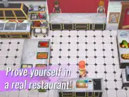 youtubers life - cooking ipad images 3