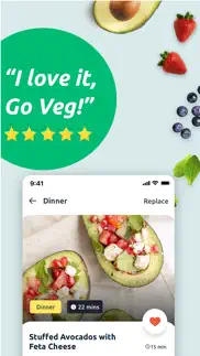 vegetarian meal plan & recipes iphone images 2