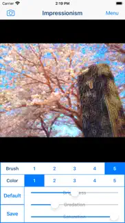 impressionism - oil paint art iphone images 3