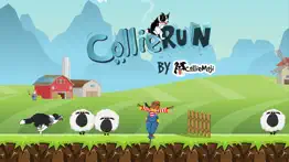 collierun - dog agility game iphone images 1