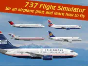 737 flight simulator ipad resimleri 1