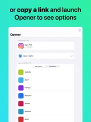 opener ‒ open links in apps ipad images 3