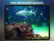 aquarium live - real fish tank ipad images 1