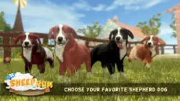 silly sheep run- farm dog game iphone images 3