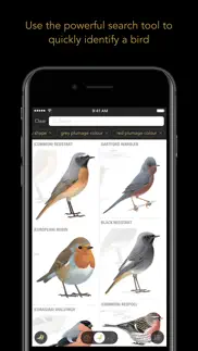 collins british bird guide iphone images 3