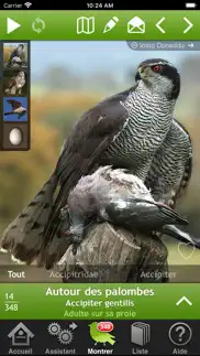 oiseaux en poche iPhone Captures Décran 1