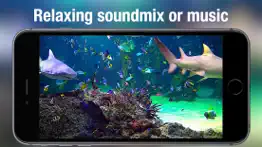 aquarium live - real fish tank iphone images 3
