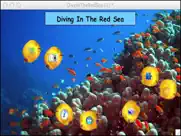 diving in the red sea ipad images 1