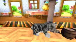 kitten cat vs rat runner game iphone images 3