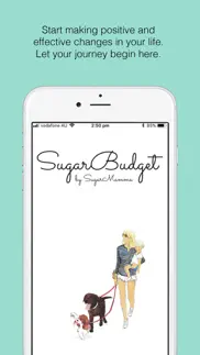 sugar budget iphone images 1