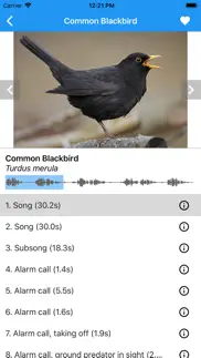 birdsounds europe iphone images 1