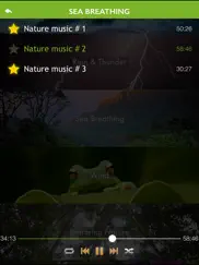 nature music - relaxing sound ipad images 3