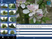 tree id identify uk trees iPad Captures Décran 2