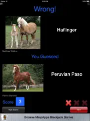 3strike horses ipad images 4
