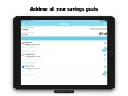saving money box-savings goals ipad images 1