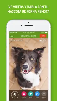 monitor de perro iphone capturas de pantalla 4