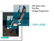 resizable - photo size ipad images 2