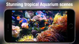 aquarium live - real fish tank iphone images 2