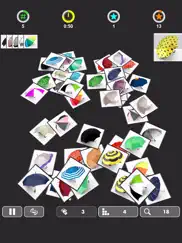 ollect - pair matching game ipad images 4