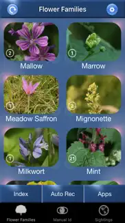 wild flower id british isles iphone images 1