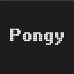 pongy-rezension, bewertung