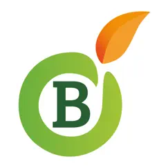 bottega in bio logo, reviews