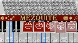 mezquite piano accordion iphone images 3