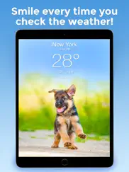 weather puppy forecast + radar ipad images 1
