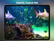 aquarium live - real fish tank ipad images 3