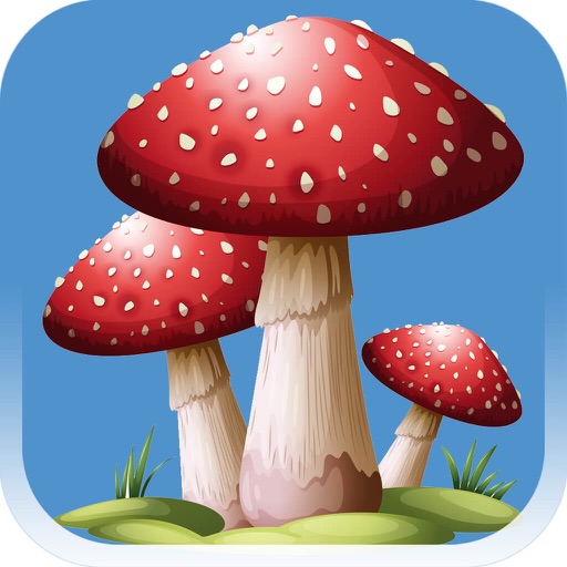 Forest Mushroom app reviews download