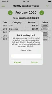 monthly spending tracker iphone images 3