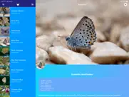 butterflies 2.0 ipad images 2