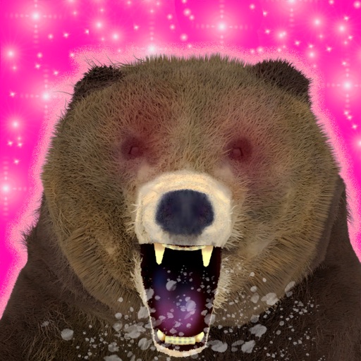 My Grizzly Bear app reviews download