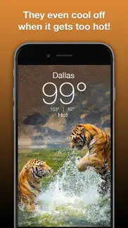 wildlife wallpaper weather iphone images 4