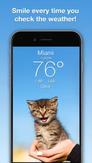 weather kitty: weather + radar iphone images 1