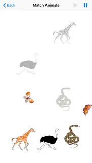 animated wild animals iphone images 3