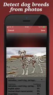 dog breed scanner iphone images 2