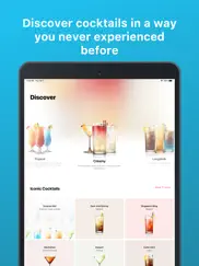 cocktail flow - drink recipes ipad images 2