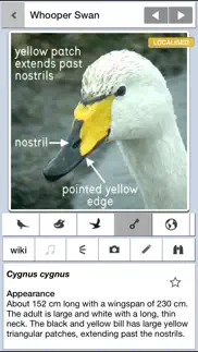 birds of britain pro iphone capturas de pantalla 3